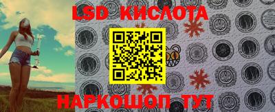 соль ск Сланцы