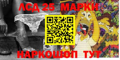 соль ск Сланцы