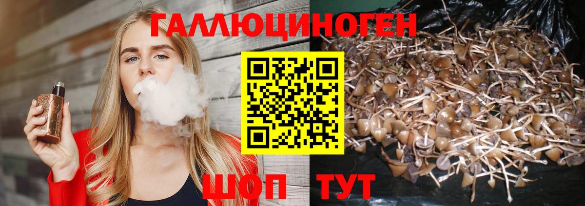 Галлюциногенные грибы мухоморы Шатура