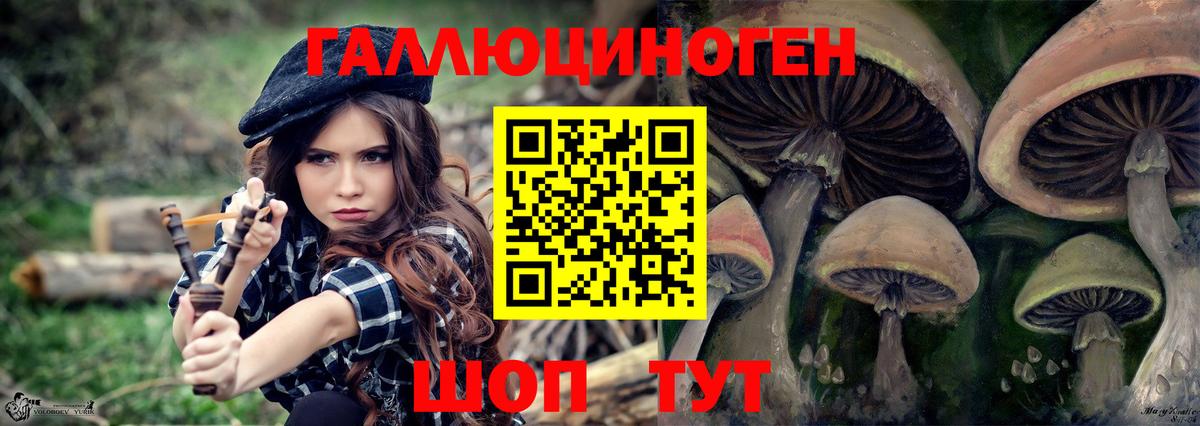 Шатура  Галлюциногенные грибы MAGIC MUSHROOMS  Вход с VPN 